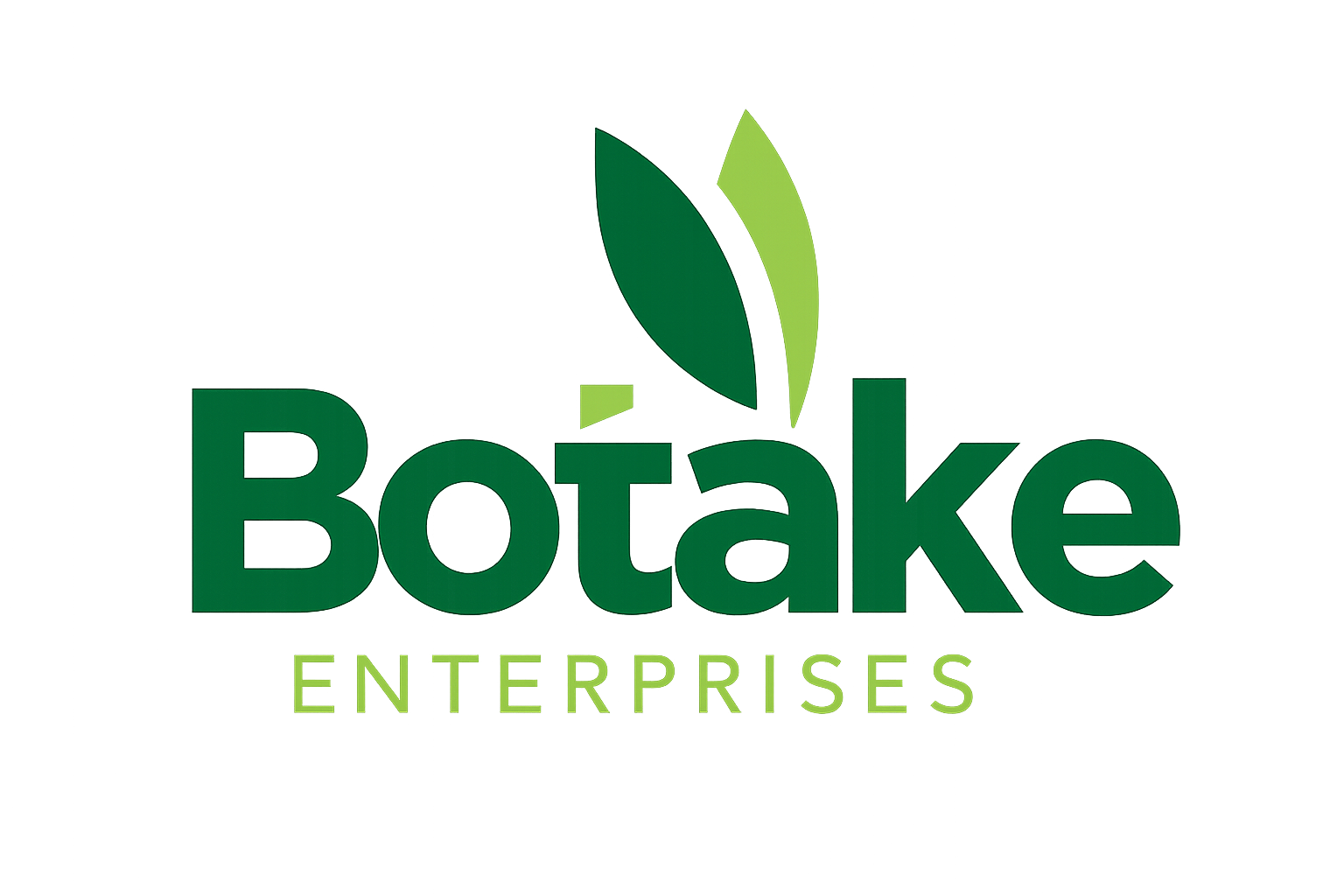 Botake Enterprises Logo