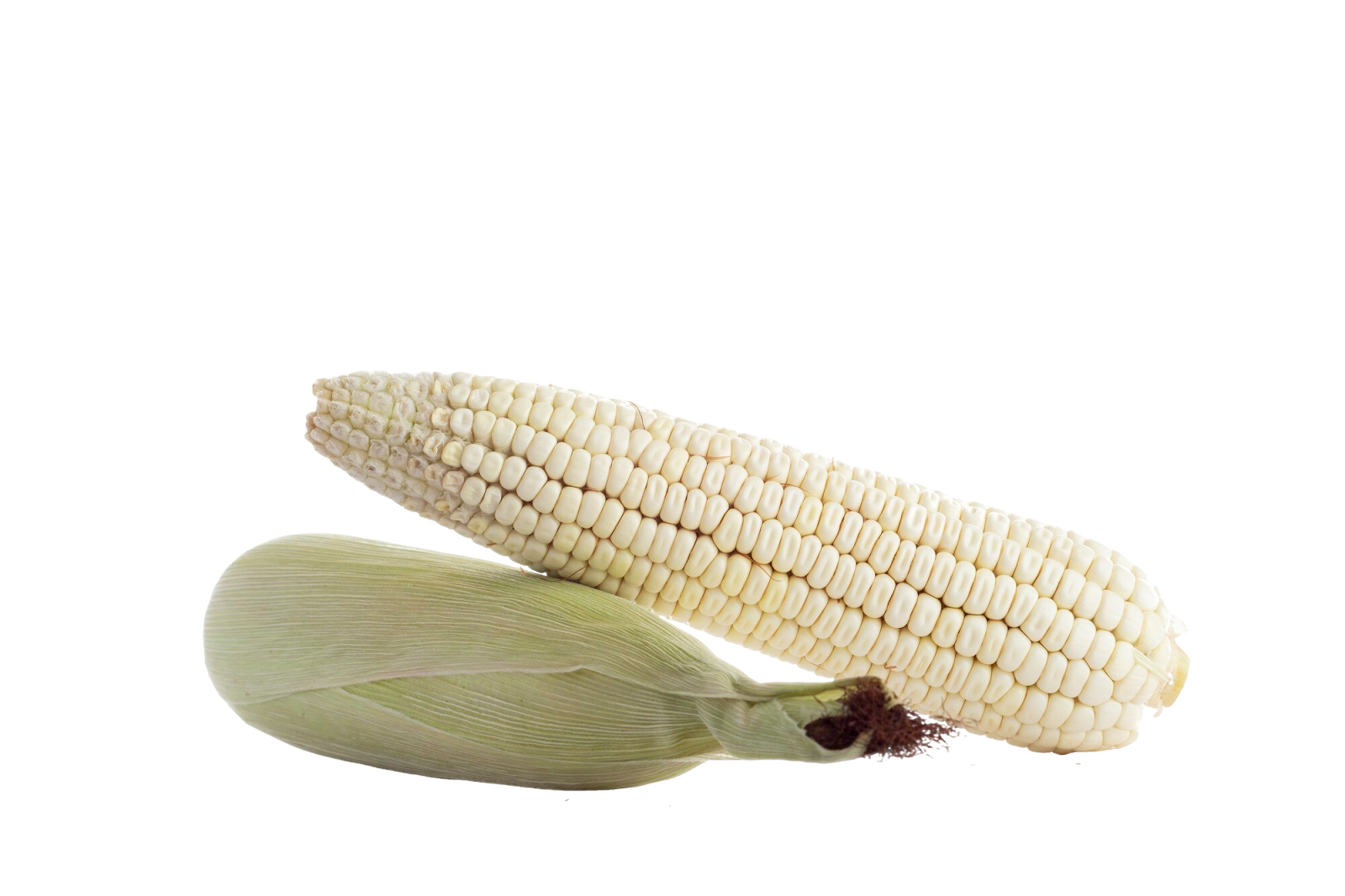 Botake maize supply